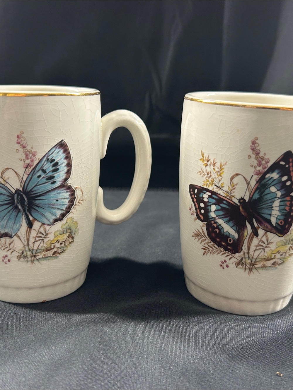 Vintage Lord Nelson Pottery Butterfly Mugs England Set of 2